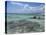 Eastern Coast, Punta Morena, Cozumel, Mexico-Savanah Stewart-Stretched Canvas