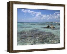 Eastern Coast, Punta Morena, Cozumel, Mexico-Savanah Stewart-Framed Photographic Print