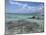 Eastern Coast, Punta Morena, Cozumel, Mexico-Savanah Stewart-Mounted Photographic Print