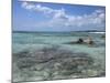 Eastern Coast, Punta Morena, Cozumel, Mexico-Savanah Stewart-Mounted Photographic Print