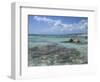 Eastern Coast, Punta Morena, Cozumel, Mexico-Savanah Stewart-Framed Photographic Print