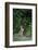 Eastern Cottontail Rabbit-Gary Carter-Framed Photographic Print