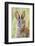 Eastern Cottontail (Sylvilagus Floridanus) Portrait, Laredo Borderlands, Texas, USA. April-Claudio Contreras-Framed Photographic Print