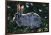 Eastern Cottontail-W. Perry Conway-Framed Photographic Print