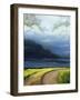 Eastern Glow I-Grace Popp-Framed Art Print