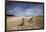 Eastern Gray Kangaroos on Beach in Murramarang National Park-Paul Souders-Framed Photographic Print