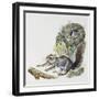 Eastern Gray Squirrel (Sciurus Carolinensis), Sciuridae-null-Framed Giclee Print
