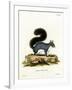 Eastern Gray Squirrel-null-Framed Giclee Print