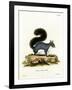 Eastern Gray Squirrel-null-Framed Giclee Print