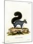 Eastern Gray Squirrel-null-Mounted Giclee Print