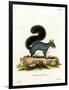 Eastern Gray Squirrel-null-Framed Giclee Print