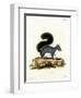 Eastern Gray Squirrel-null-Framed Premium Giclee Print