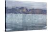 Eastern Greenland, Scoresbysund, aka Scoresby Sund. Wilson glacier, face of the glacier.-Cindy Miller Hopkins-Stretched Canvas