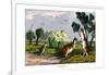 Eastern Grey Kangaroo, 1860-null-Framed Giclee Print