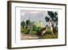 Eastern Grey Kangaroo, 1860-null-Framed Giclee Print