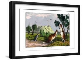 Eastern Grey Kangaroo, 1860-null-Framed Giclee Print