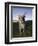 Eastern Grey Kangaroo, (Macropus Giganteus), Pebbly Beach, New South Wales, Australia-Thorsten Milse-Framed Premium Photographic Print