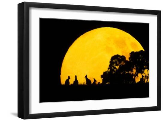 Premium Photographic Print, , large