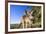 Eastern Grey Kangaroo Super Wide Angle Shot Of-null-Framed Photographic Print