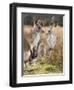 Eastern Grey Kangaroos, Kosciuszko National Park, New South Wales, Australia-Jochen Schlenker-Framed Photographic Print