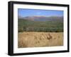 Eastern Grey Kangaroos, New South Wales, Australia, Pacific-Jochen Schlenker-Framed Photographic Print