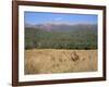 Eastern Grey Kangaroos, New South Wales, Australia, Pacific-Jochen Schlenker-Framed Photographic Print