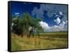 Eastern Highlands, South Africa-Walter Bibikow-Framed Stretched Canvas