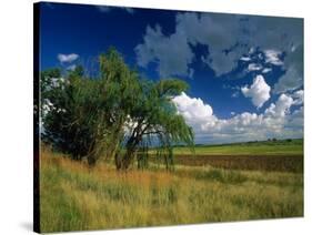 Eastern Highlands, South Africa-Walter Bibikow-Stretched Canvas