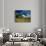 Eastern Highlands, South Africa-Walter Bibikow-Premium Photographic Print displayed on a wall