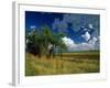 Eastern Highlands, South Africa-Walter Bibikow-Framed Photographic Print