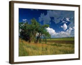 Eastern Highlands, South Africa-Walter Bibikow-Framed Photographic Print