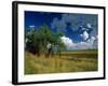 Eastern Highlands, South Africa-Walter Bibikow-Framed Photographic Print