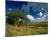 Eastern Highlands, South Africa-Walter Bibikow-Mounted Photographic Print