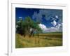 Eastern Highlands, South Africa-Walter Bibikow-Framed Photographic Print