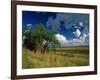 Eastern Highlands, South Africa-Walter Bibikow-Framed Photographic Print