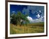 Eastern Highlands, South Africa-Walter Bibikow-Framed Photographic Print