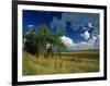 Eastern Highlands, South Africa-Walter Bibikow-Framed Photographic Print