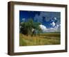 Eastern Highlands, South Africa-Walter Bibikow-Framed Photographic Print