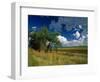 Eastern Highlands, South Africa-Walter Bibikow-Framed Photographic Print