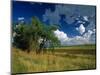 Eastern Highlands, South Africa-Walter Bibikow-Mounted Photographic Print