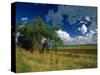 Eastern Highlands, South Africa-Walter Bibikow-Stretched Canvas
