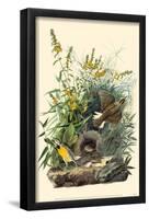Eastern Meadowlark-null-Framed Poster