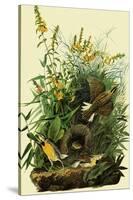 Eastern Meadowlarks-John James Audubon-Stretched Canvas