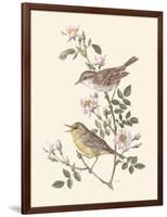 Eastern Olivaceous and Icterine Warblers-Anatole Marlin-Framed Giclee Print