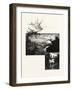 Eastern Ontario-null-Framed Giclee Print