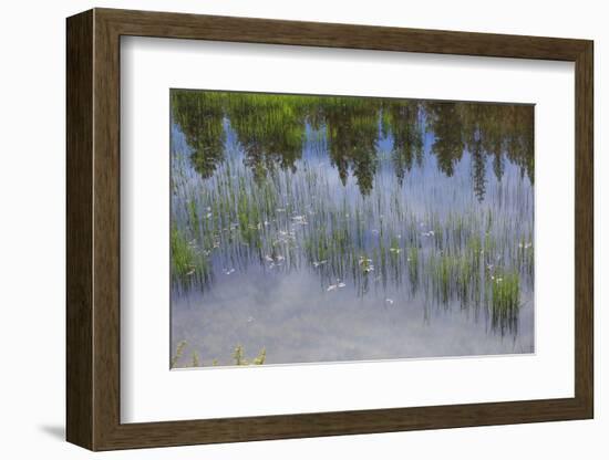 Eastern Oregon, Cascade Lakes Highway, Cascade Mountains, Deschutes NF, Crane Lake Reservoir.-Emily Wilson-Framed Photographic Print