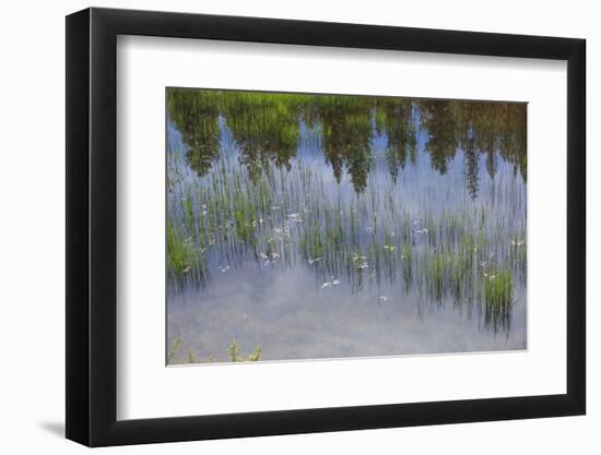 Eastern Oregon, Cascade Lakes Highway, Cascade Mountains, Deschutes NF, Crane Lake Reservoir.-Emily Wilson-Framed Photographic Print