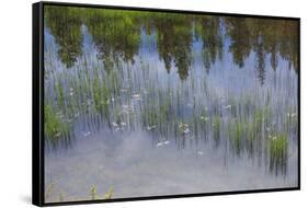 Eastern Oregon, Cascade Lakes Highway, Cascade Mountains, Deschutes NF, Crane Lake Reservoir.-Emily Wilson-Framed Stretched Canvas