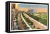 Eastern Parkway and Brooklyn Museum, New York City-null-Framed Stretched Canvas