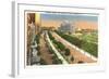 Eastern Parkway and Brooklyn Museum, New York City-null-Framed Art Print